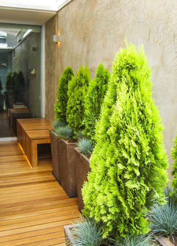 Mini Terraza